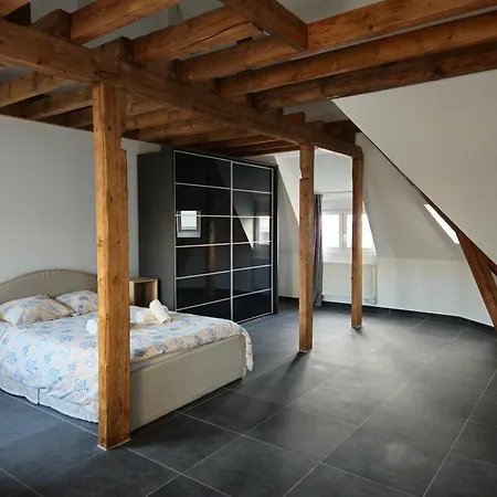 招待所 Roomies Centre Gare