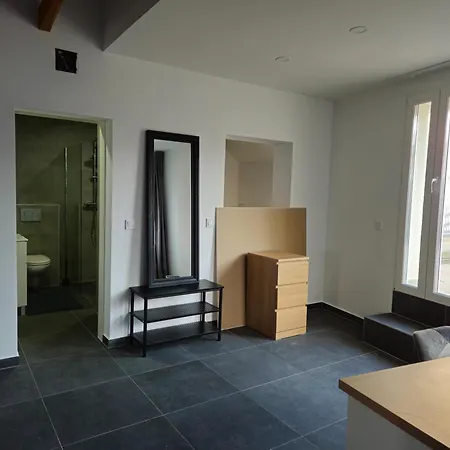 招待所 Roomies Centre Gare 3*