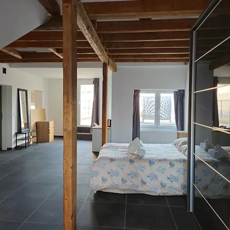 Roomies Centre Gare 招待所 卢森堡