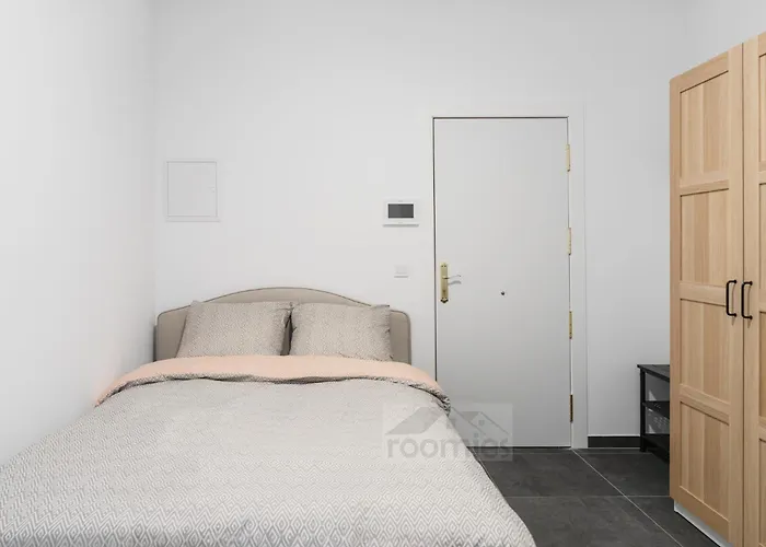 招待所 Roomies Centre Gare