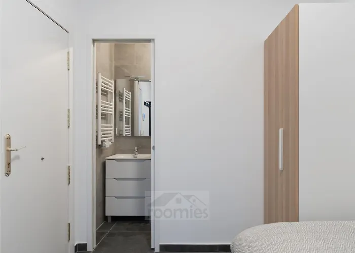 Roomies Centre Gare 卢森堡