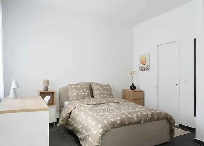 Roomies Centre Gare 3*