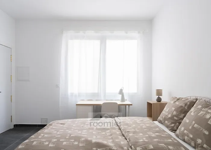 Roomies Centre Gare 招待所