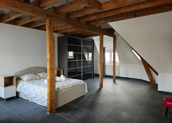 招待所 Roomies Centre Gare