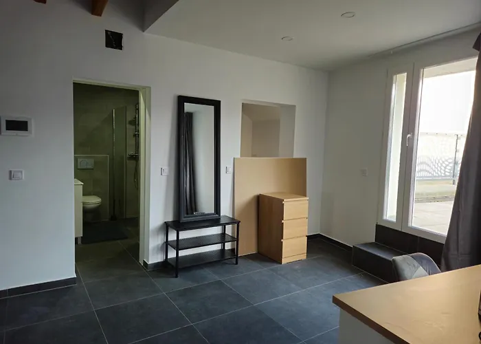 招待所 Roomies Centre Gare 3*