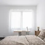 Roomies Centre Gare Affittacamere