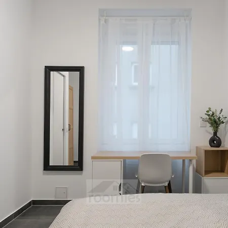 Roomies Centre Gare