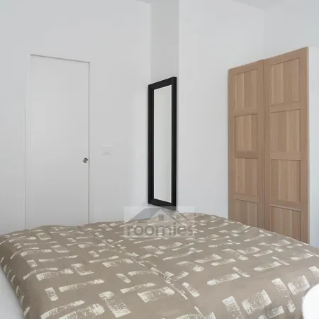 招待所 Roomies Centre Gare